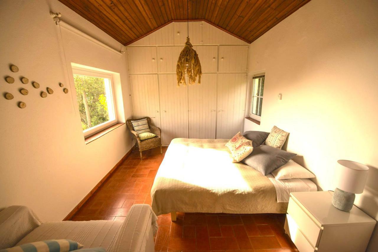 A House In The Woods Villa Sintra Kültér fotó